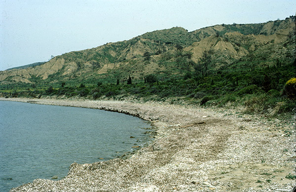 Anzac cove